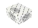 2024 Panini Select Football Jumbo Value Fat Pack 12-Pack Box (image 2)